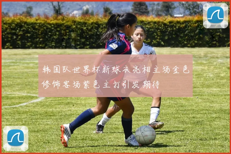 韩国队世界杯新球衣亮相主场金色修饰客场紫色主打引发期待