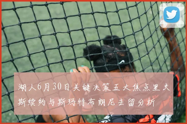湖人6月30日关键决策五大焦点里夫斯续约与斯玛特布朗尼去留分析